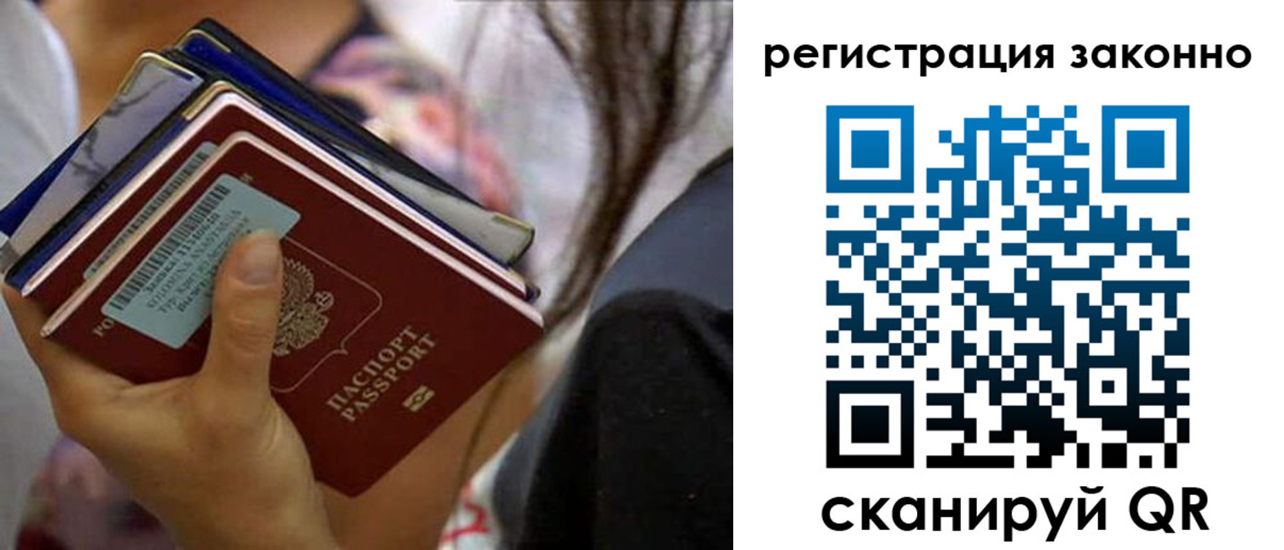 прописка в Фролово